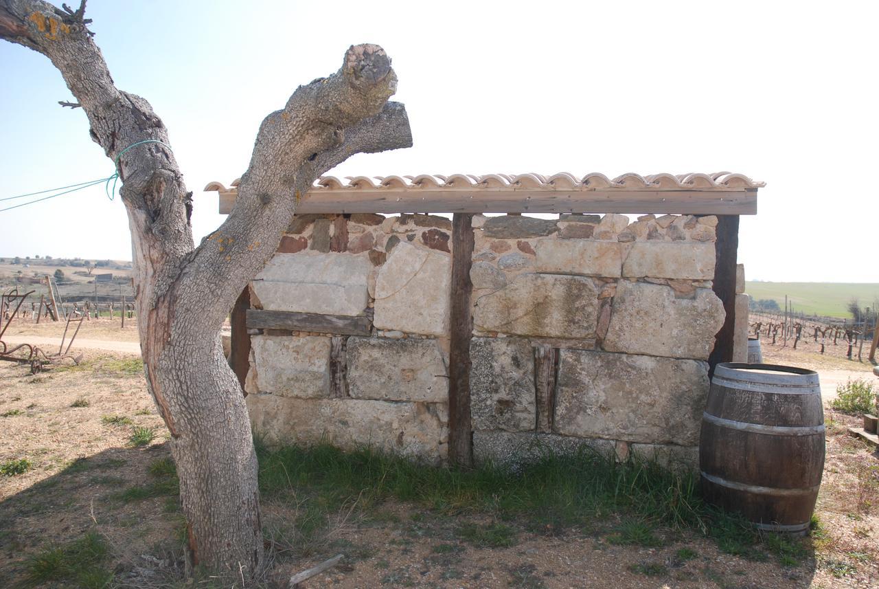 Casa Rural Teso de la Encina Villamor de los Escuderos Exterior foto